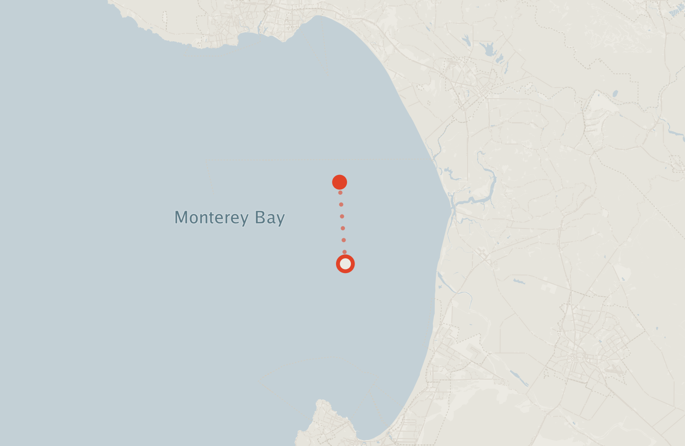 Activity map — real sighting points on an OpenStreetMap basemap