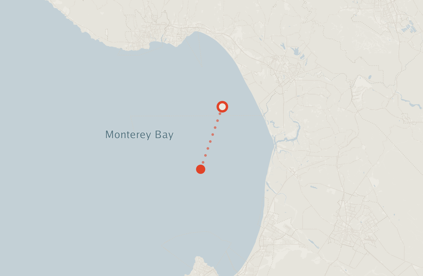 Activity map — real sighting points on an OpenStreetMap basemap