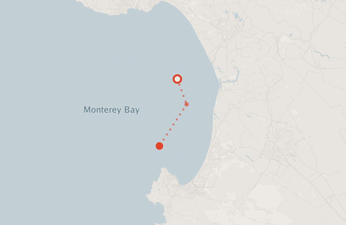 Activity map — real sighting points on an OpenStreetMap basemap