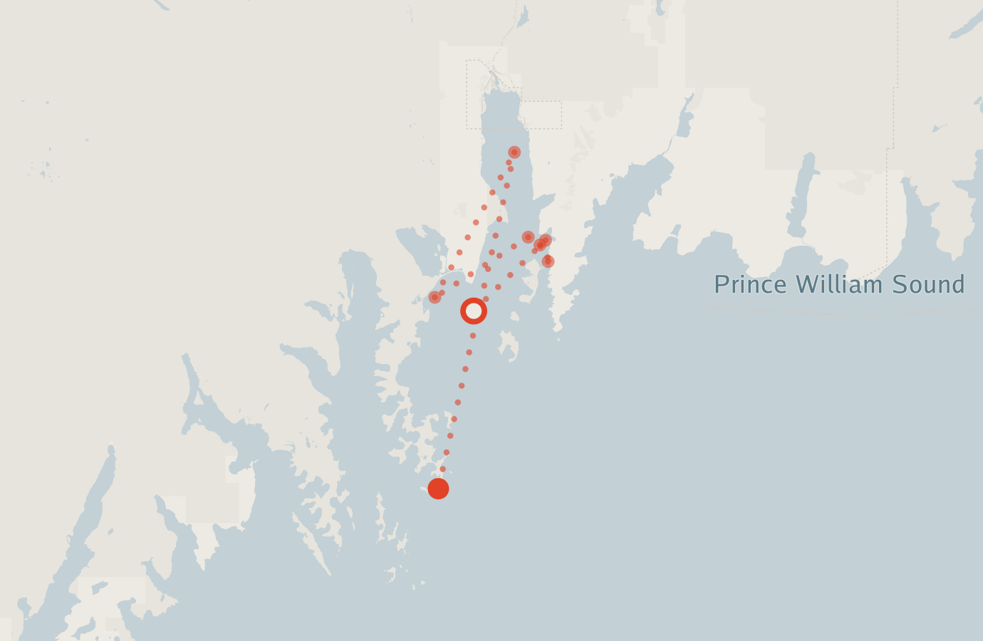 Activity map — real sighting points on an OpenStreetMap basemap