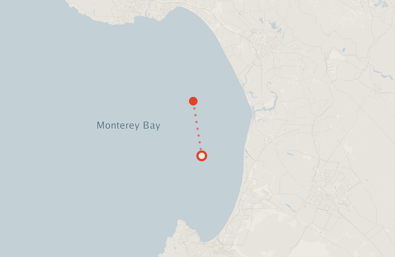 Activity map — real sighting points on an OpenStreetMap basemap