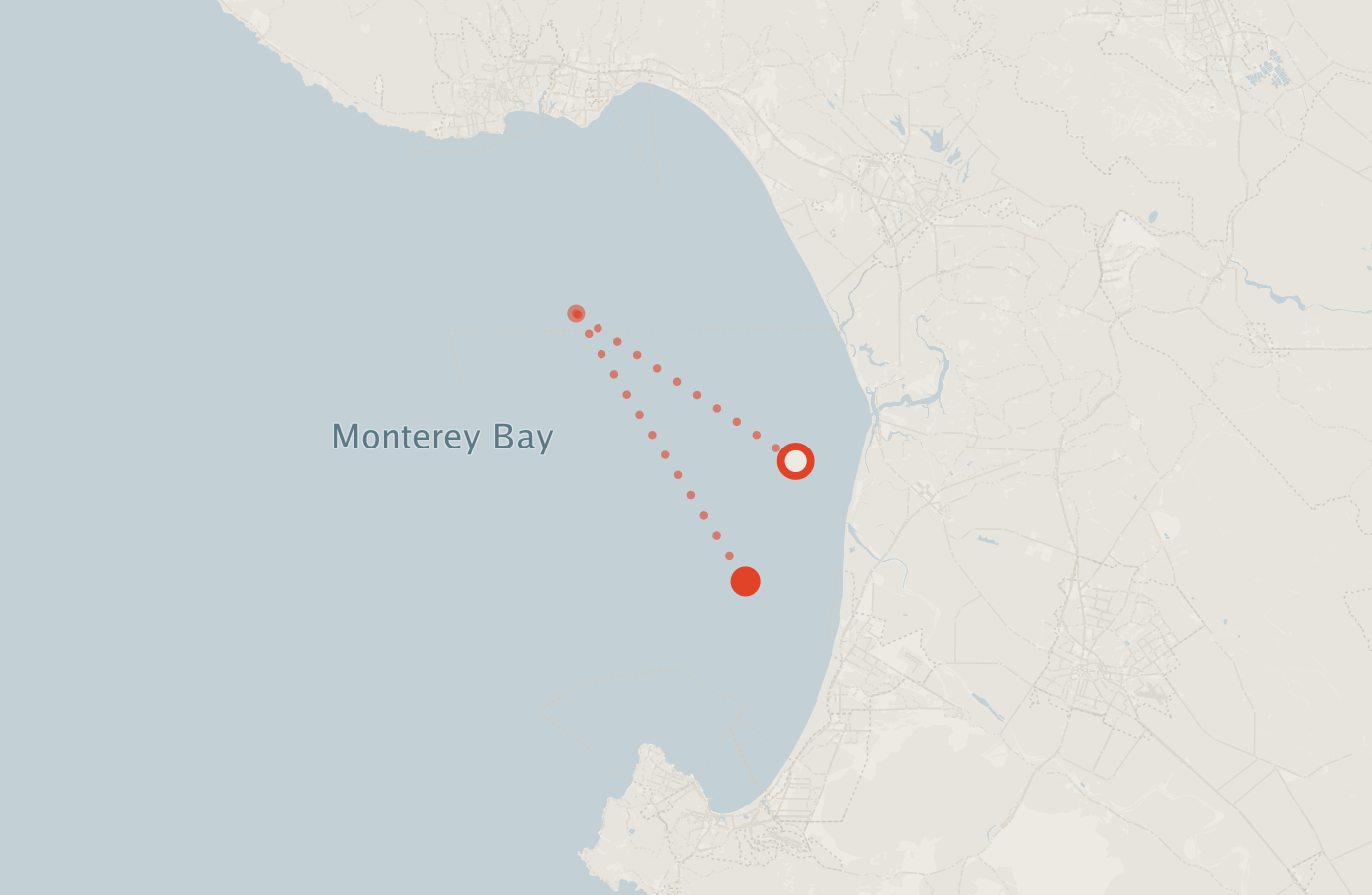 Activity map — real sighting points on an OpenStreetMap basemap