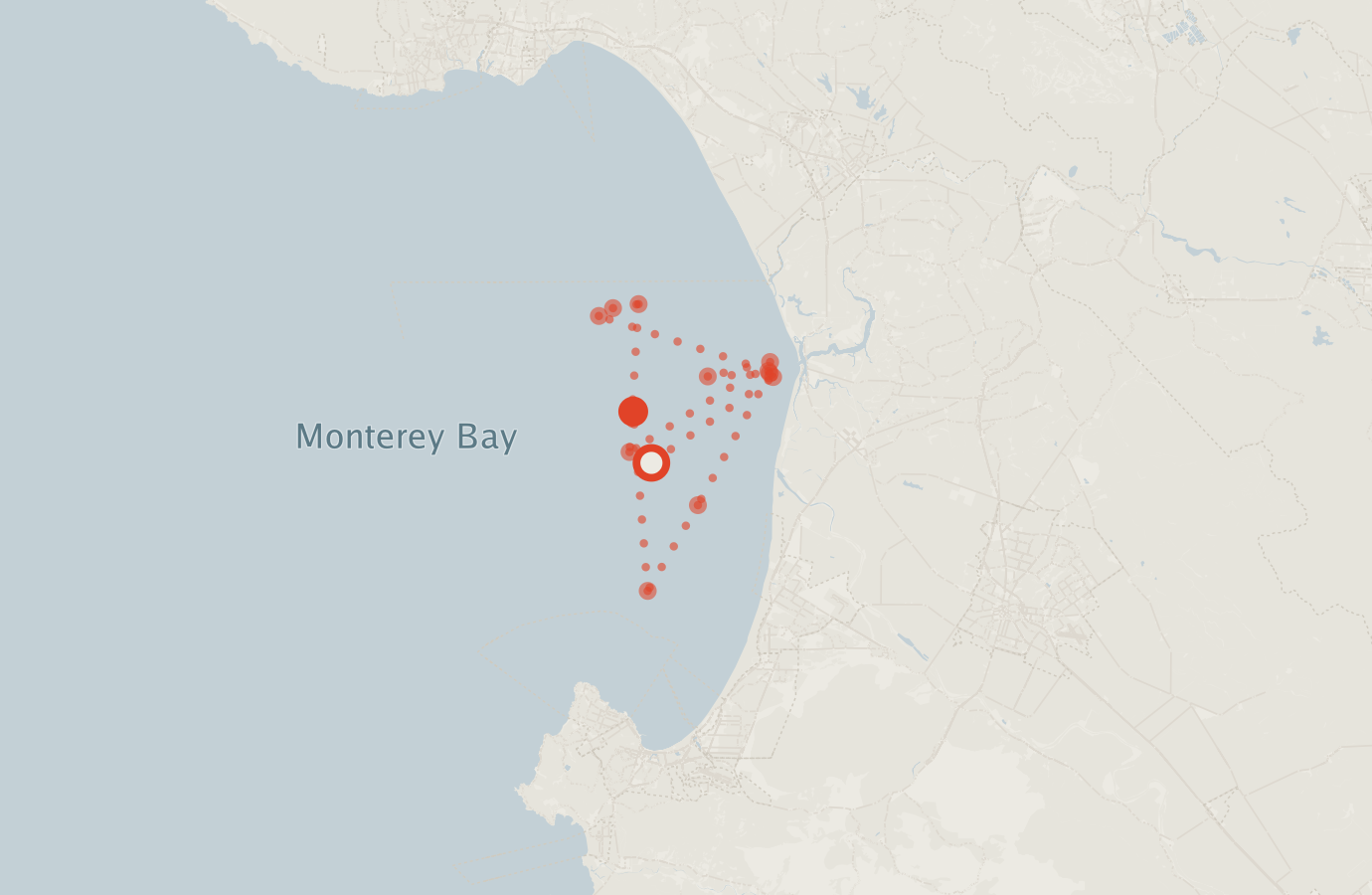 Activity map — real sighting points on an OpenStreetMap basemap