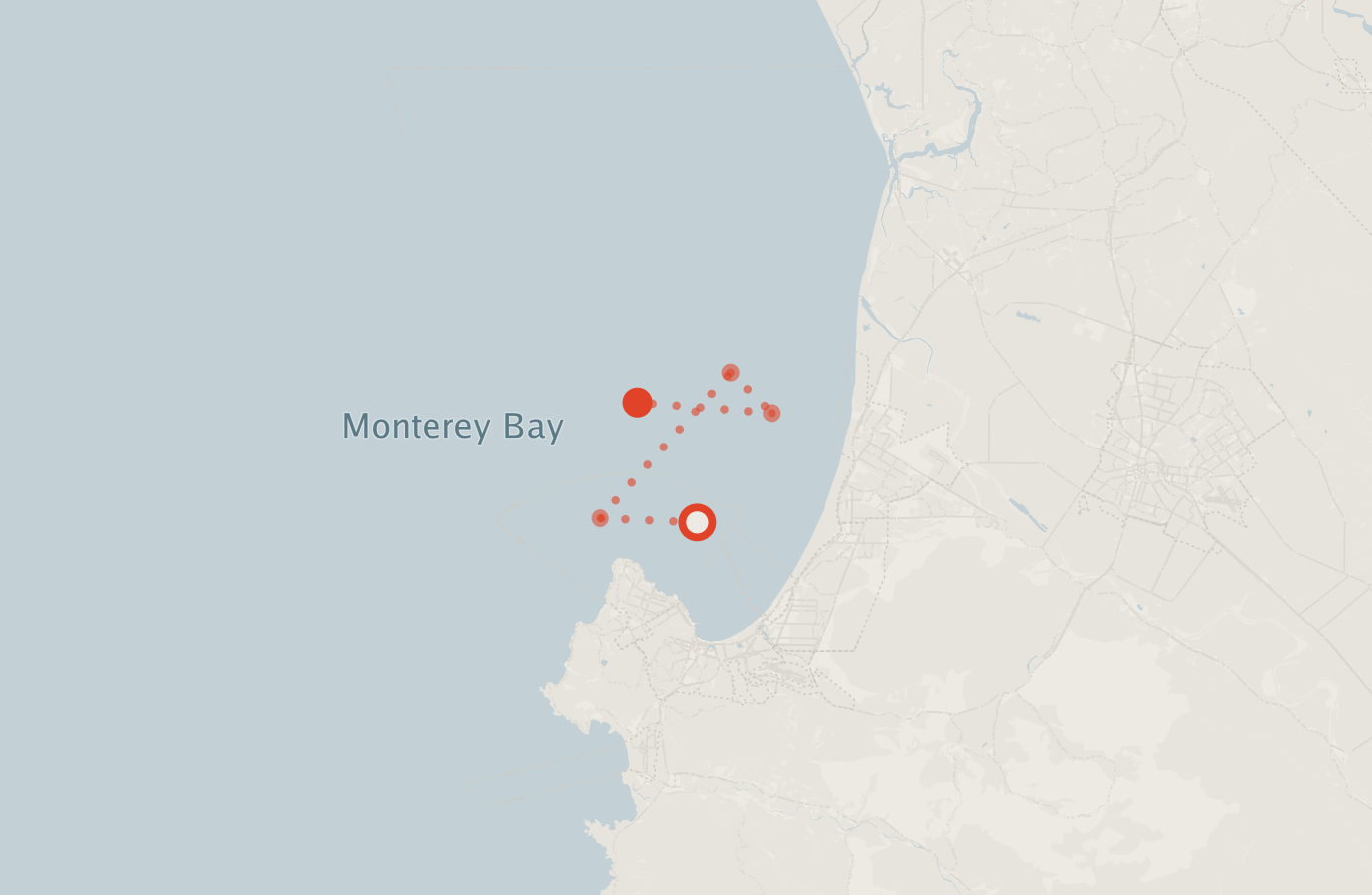 Activity map — real sighting points on an OpenStreetMap basemap