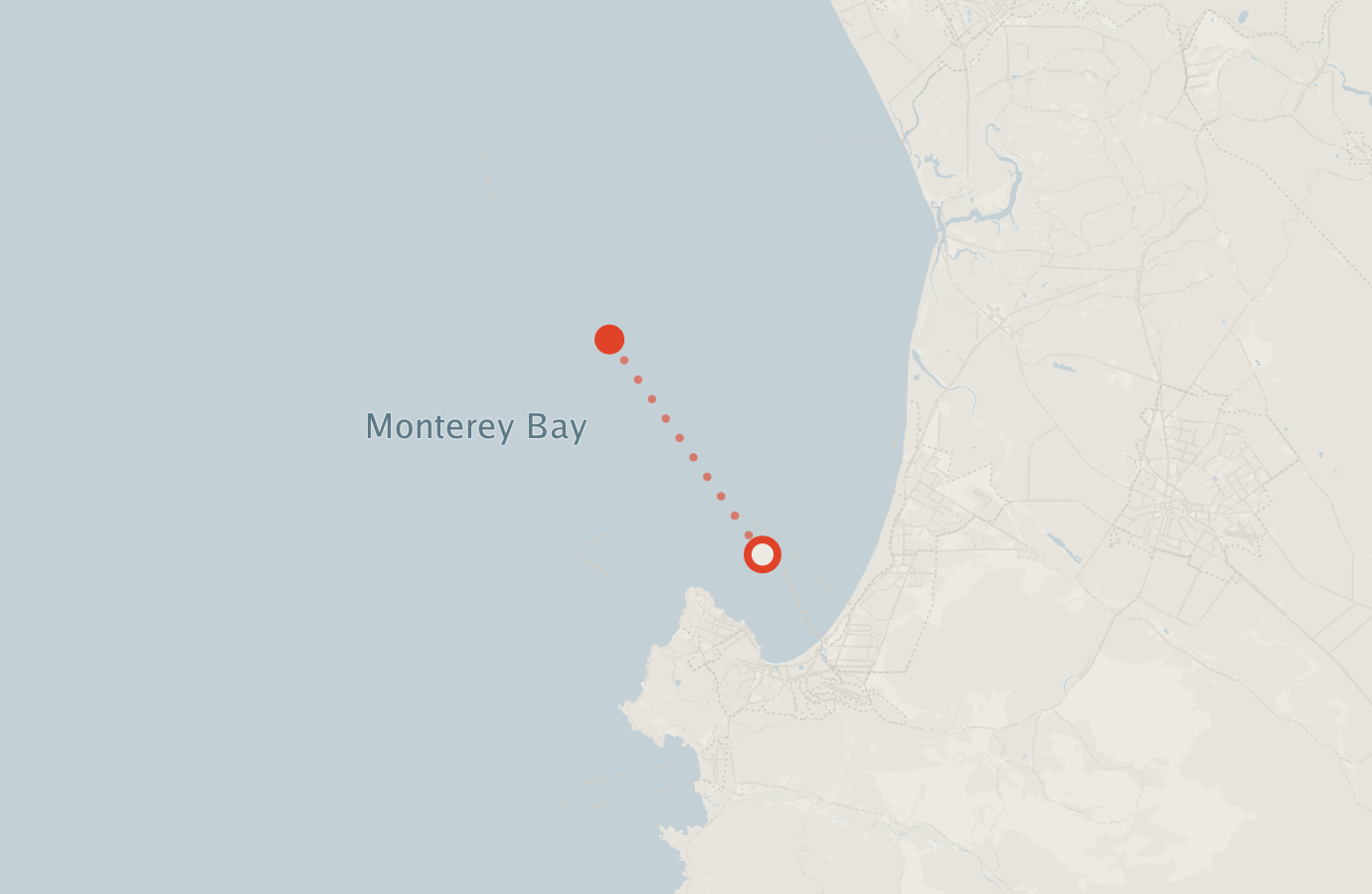 Activity map — real sighting points on an OpenStreetMap basemap