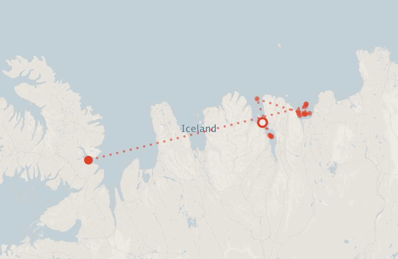 Activity map — real sighting points on an OpenStreetMap basemap
