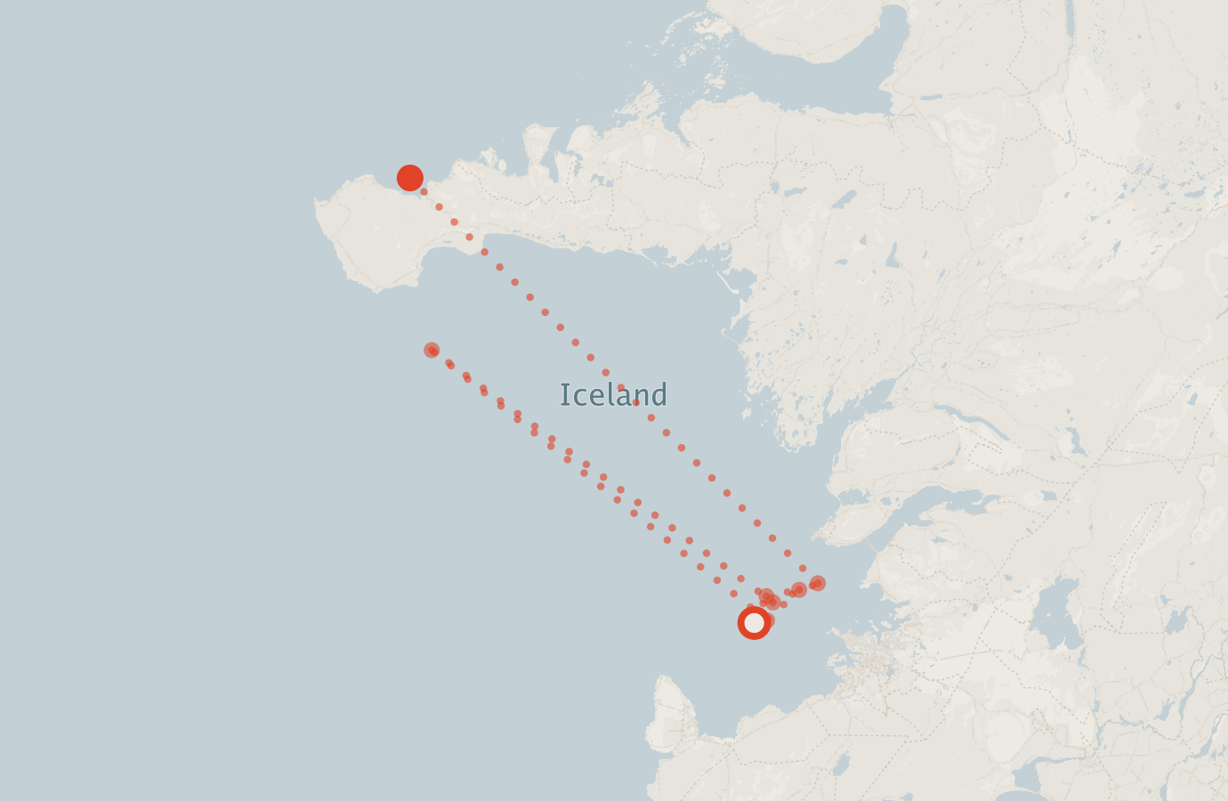 Activity map — real sighting points on an OpenStreetMap basemap
