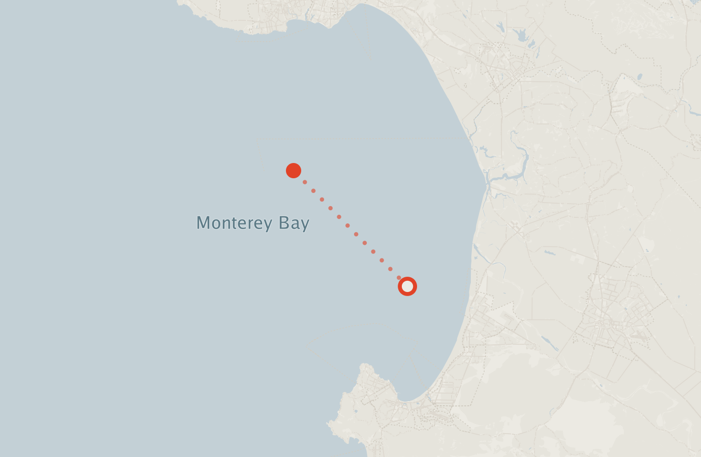 Activity map — real sighting points on an OpenStreetMap basemap
