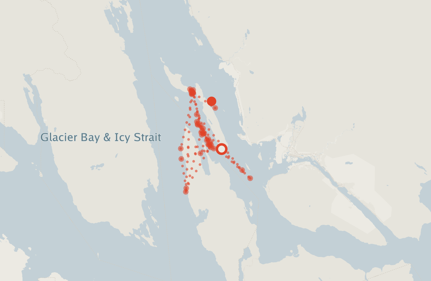 Activity map — real sighting points on an OpenStreetMap basemap