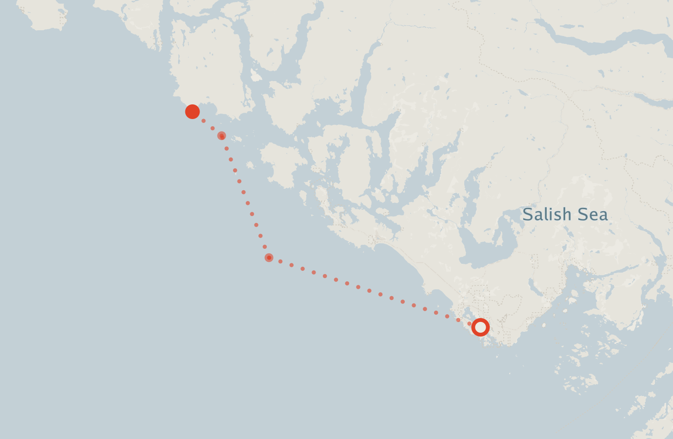 Activity map — real sighting points on an OpenStreetMap basemap