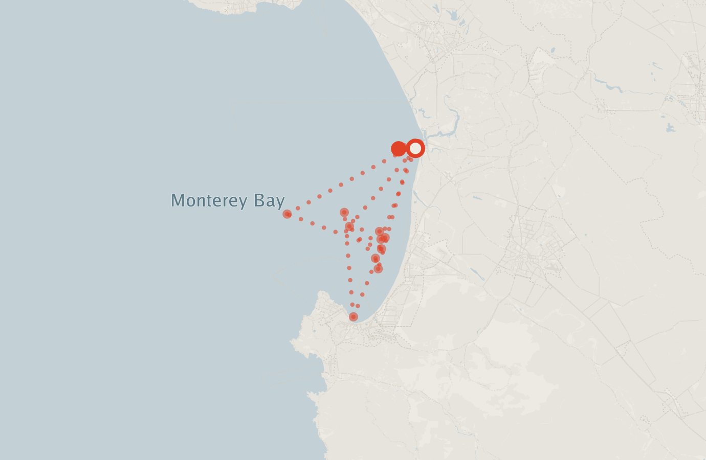 Activity map — real sighting points on an OpenStreetMap basemap