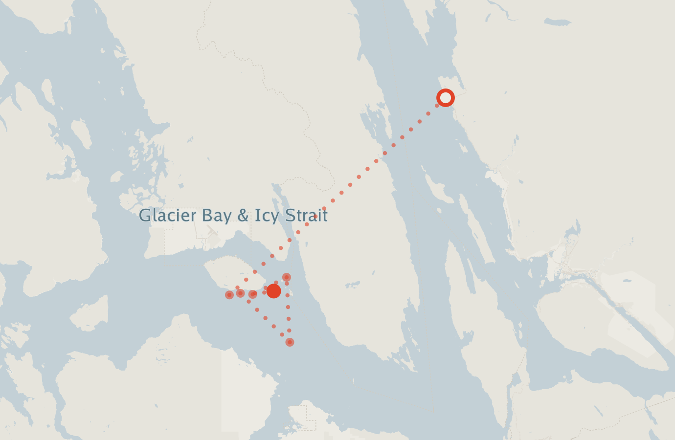 Activity map — real sighting points on an OpenStreetMap basemap