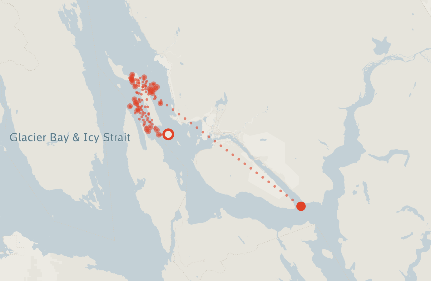 Activity map — real sighting points on an OpenStreetMap basemap