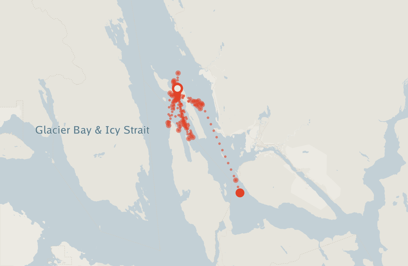 Activity map — real sighting points on an OpenStreetMap basemap
