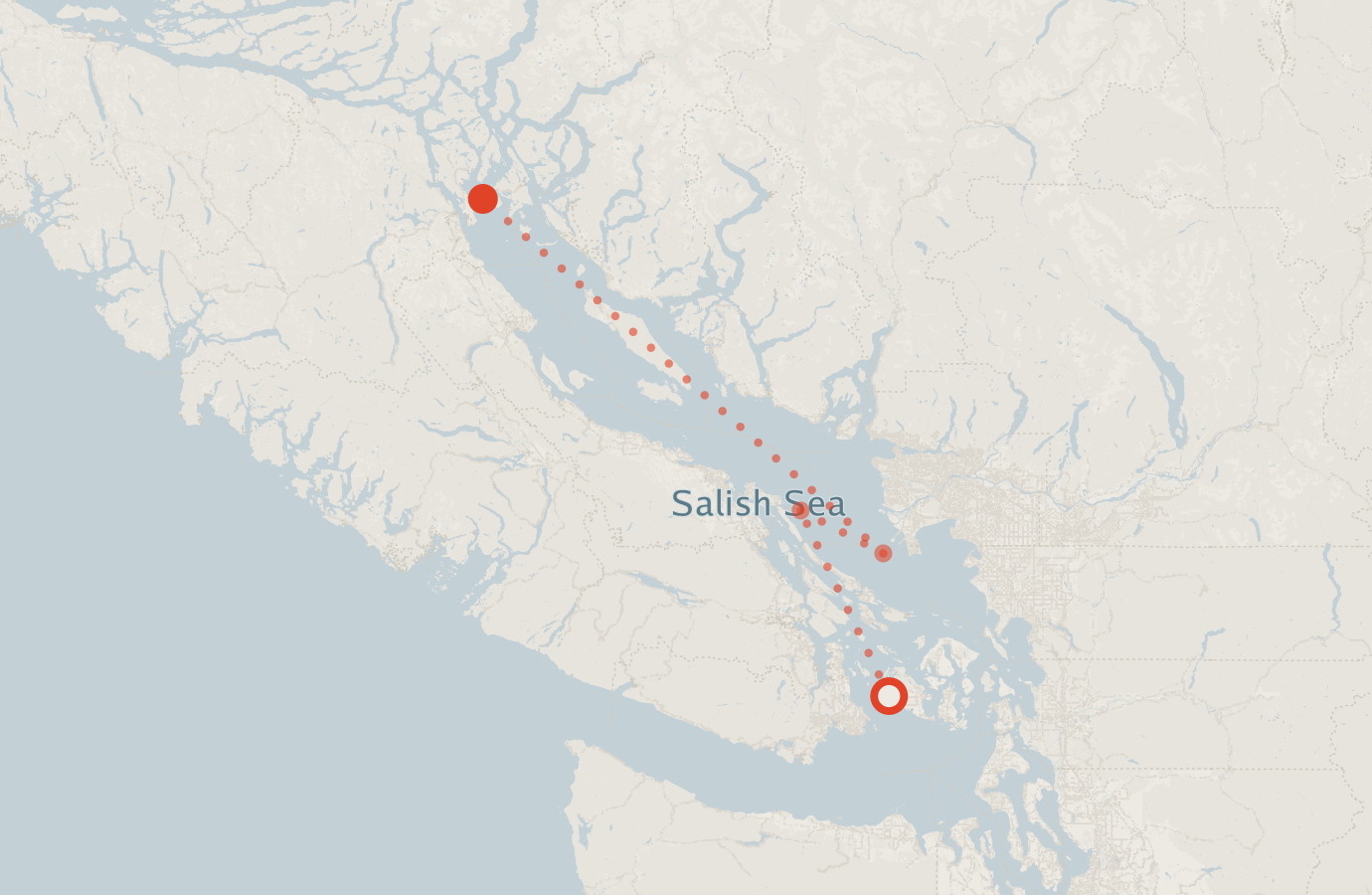 Activity map — real sighting points on an OpenStreetMap basemap