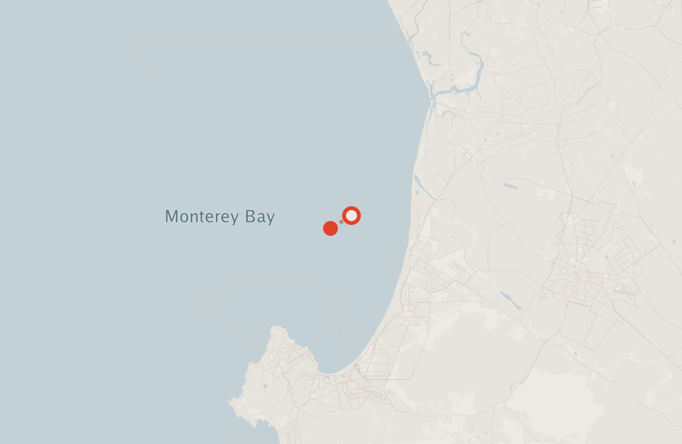 Activity map — real sighting points on an OpenStreetMap basemap