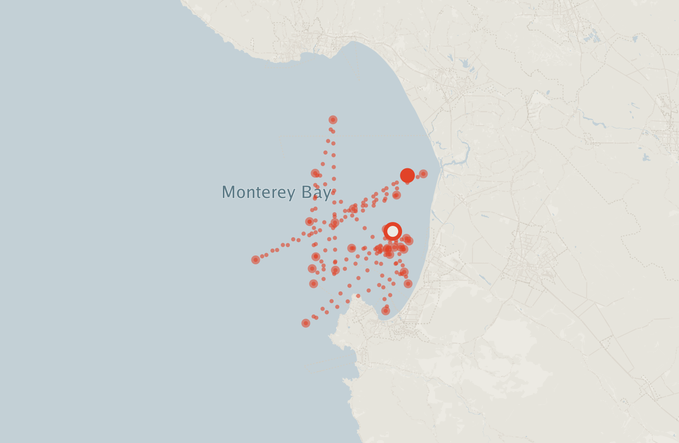 Activity map — real sighting points on an OpenStreetMap basemap