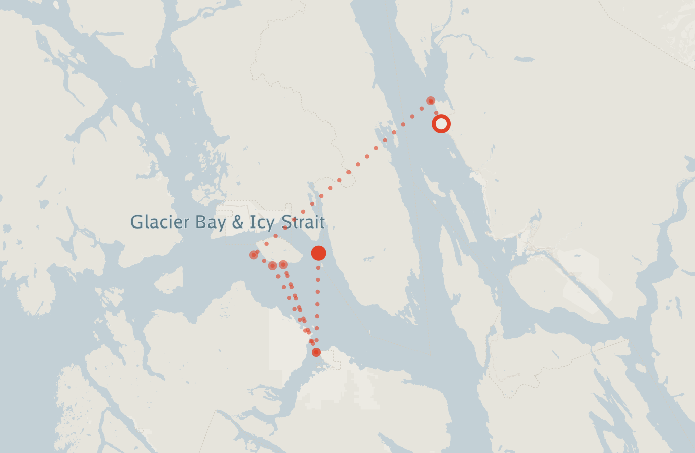 Activity map — real sighting points on an OpenStreetMap basemap