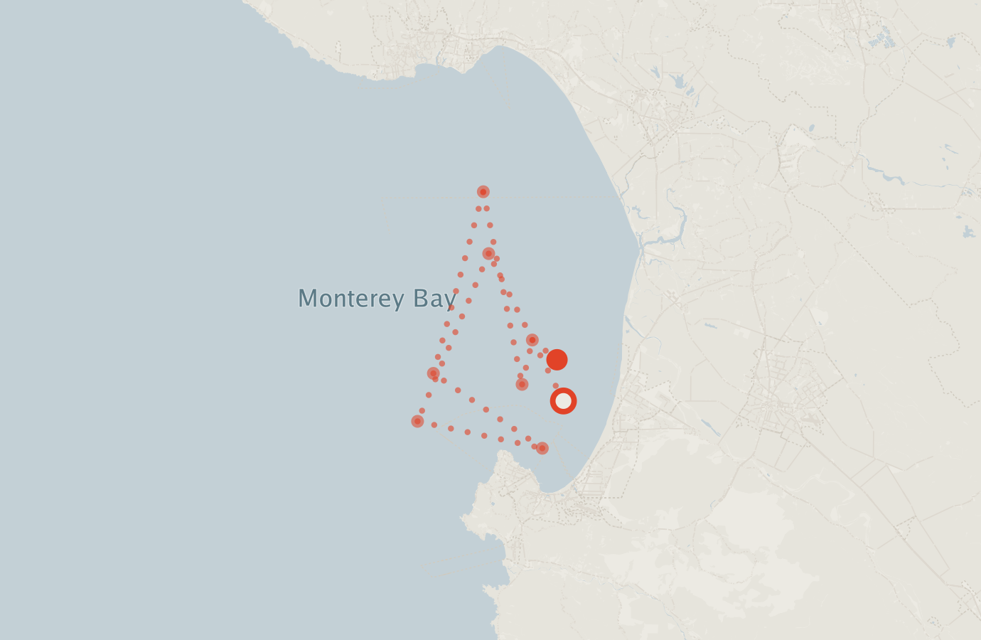 Activity map — real sighting points on an OpenStreetMap basemap
