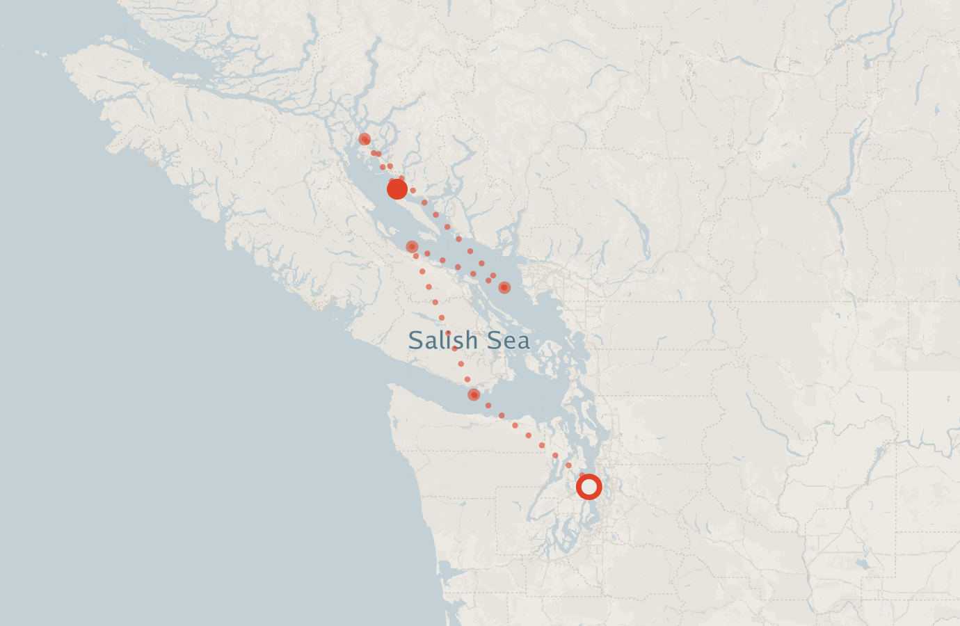 Activity map — real sighting points on an OpenStreetMap basemap