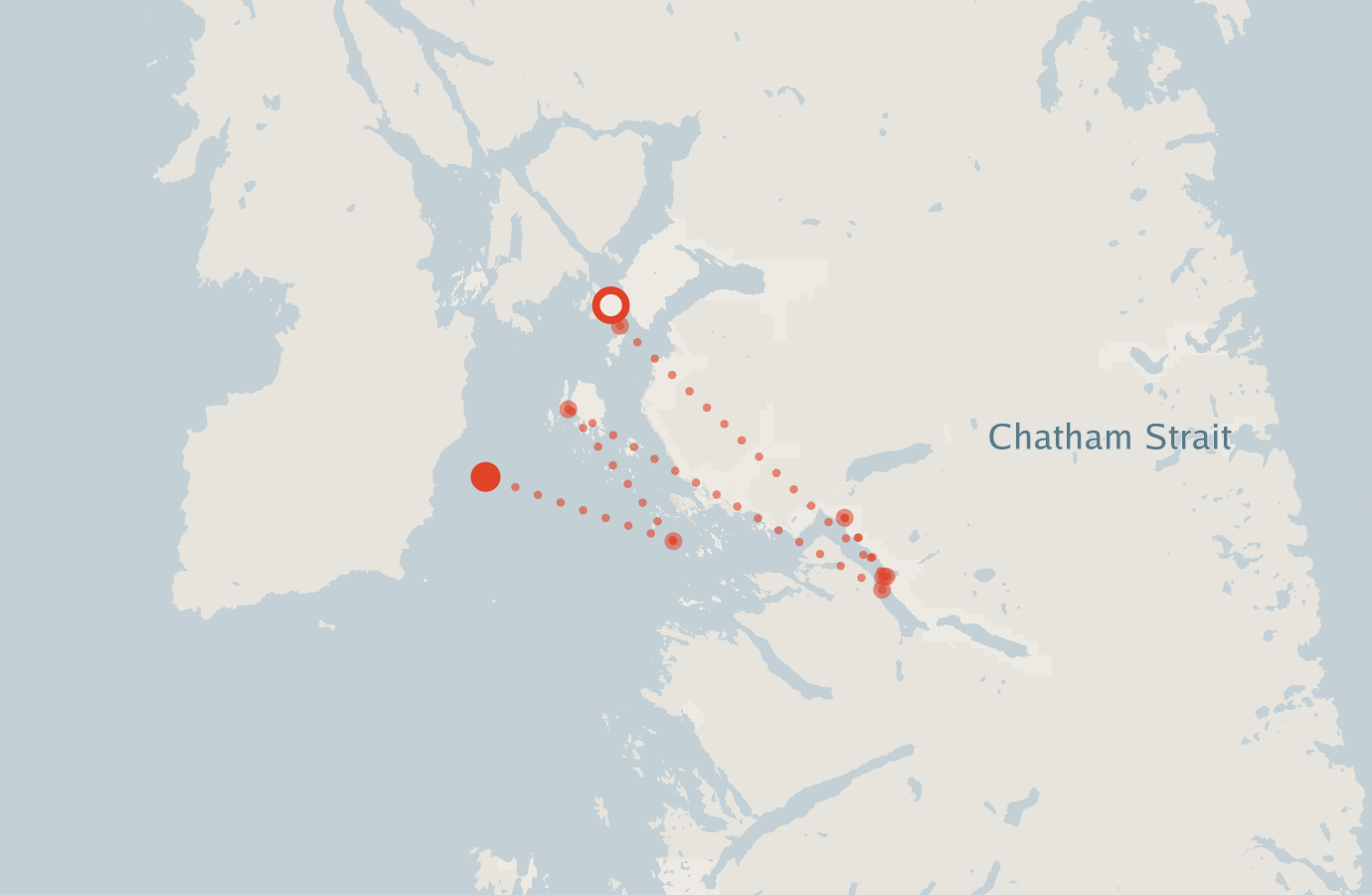 Activity map — real sighting points on an OpenStreetMap basemap