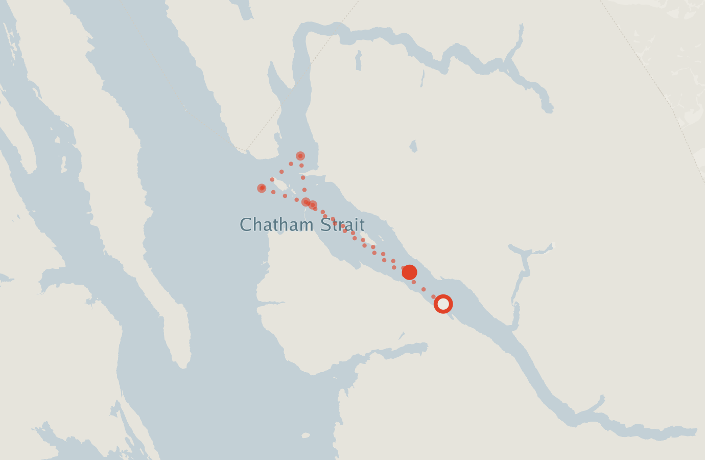 Activity map — real sighting points on an OpenStreetMap basemap