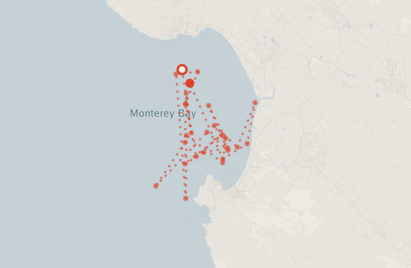 Activity map — real sighting points on an OpenStreetMap basemap