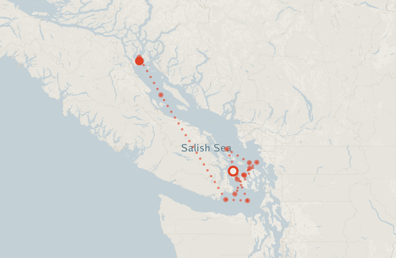 Activity map — real sighting points on an OpenStreetMap basemap