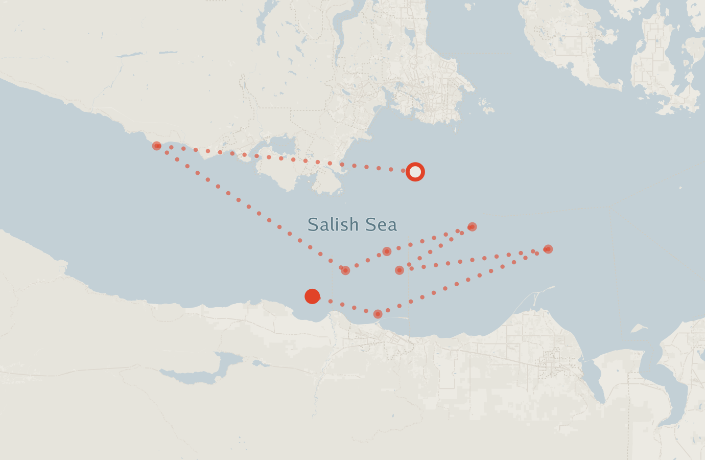 Activity map — real sighting points on an OpenStreetMap basemap