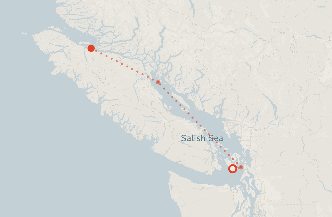 Activity map — real sighting points on an OpenStreetMap basemap