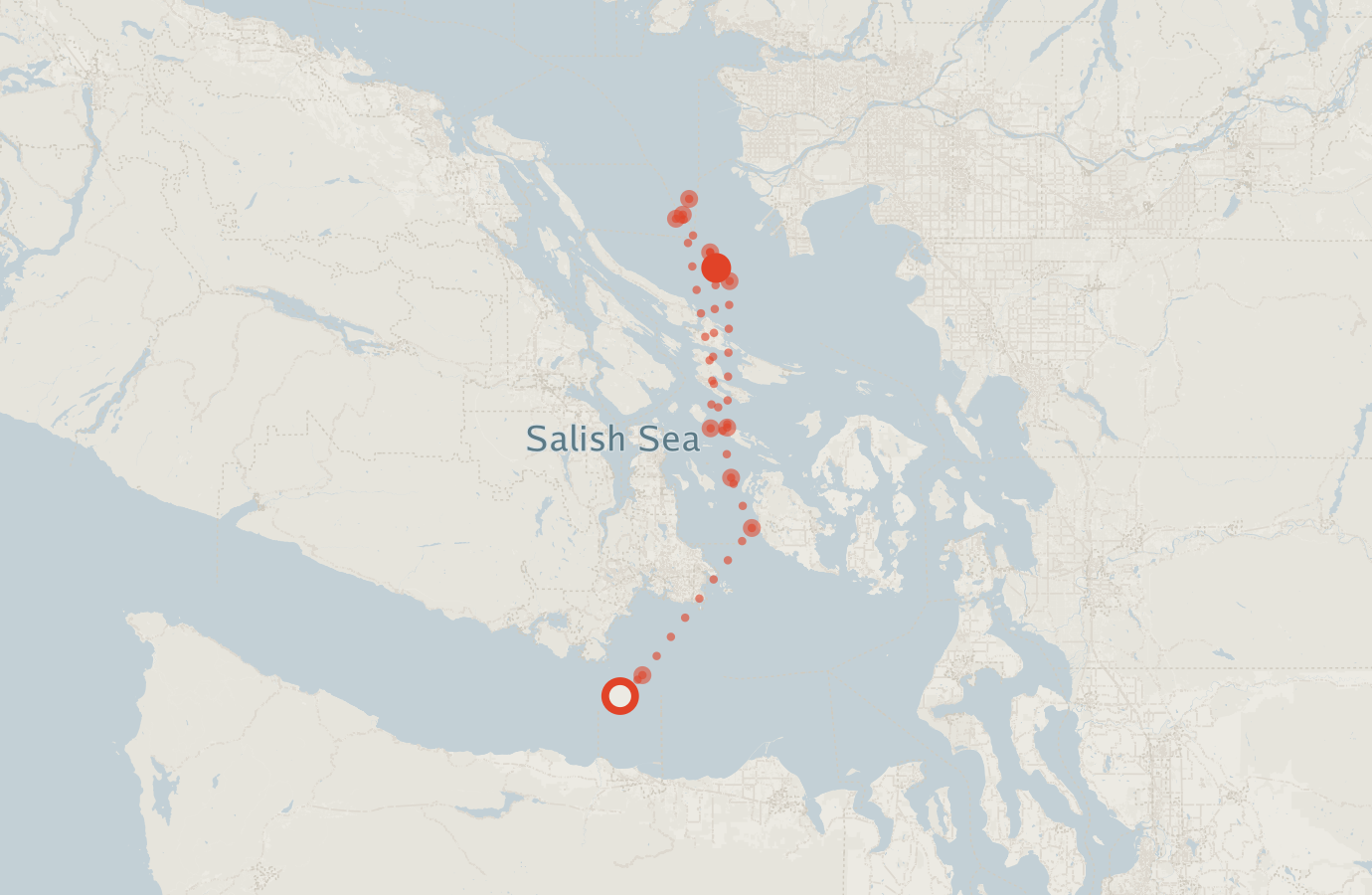 Activity map — real sighting points on an OpenStreetMap basemap