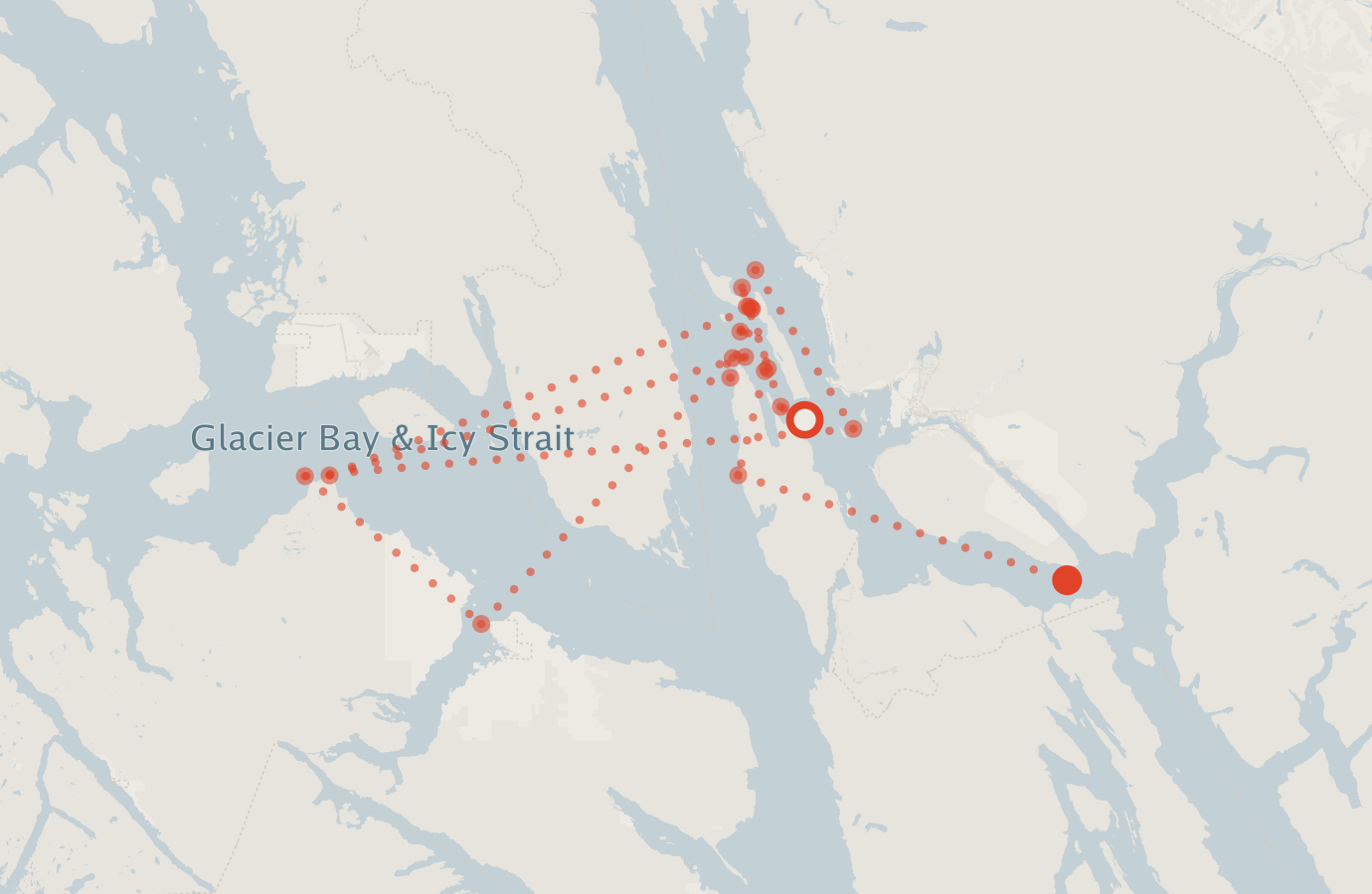 Activity map — real sighting points on an OpenStreetMap basemap