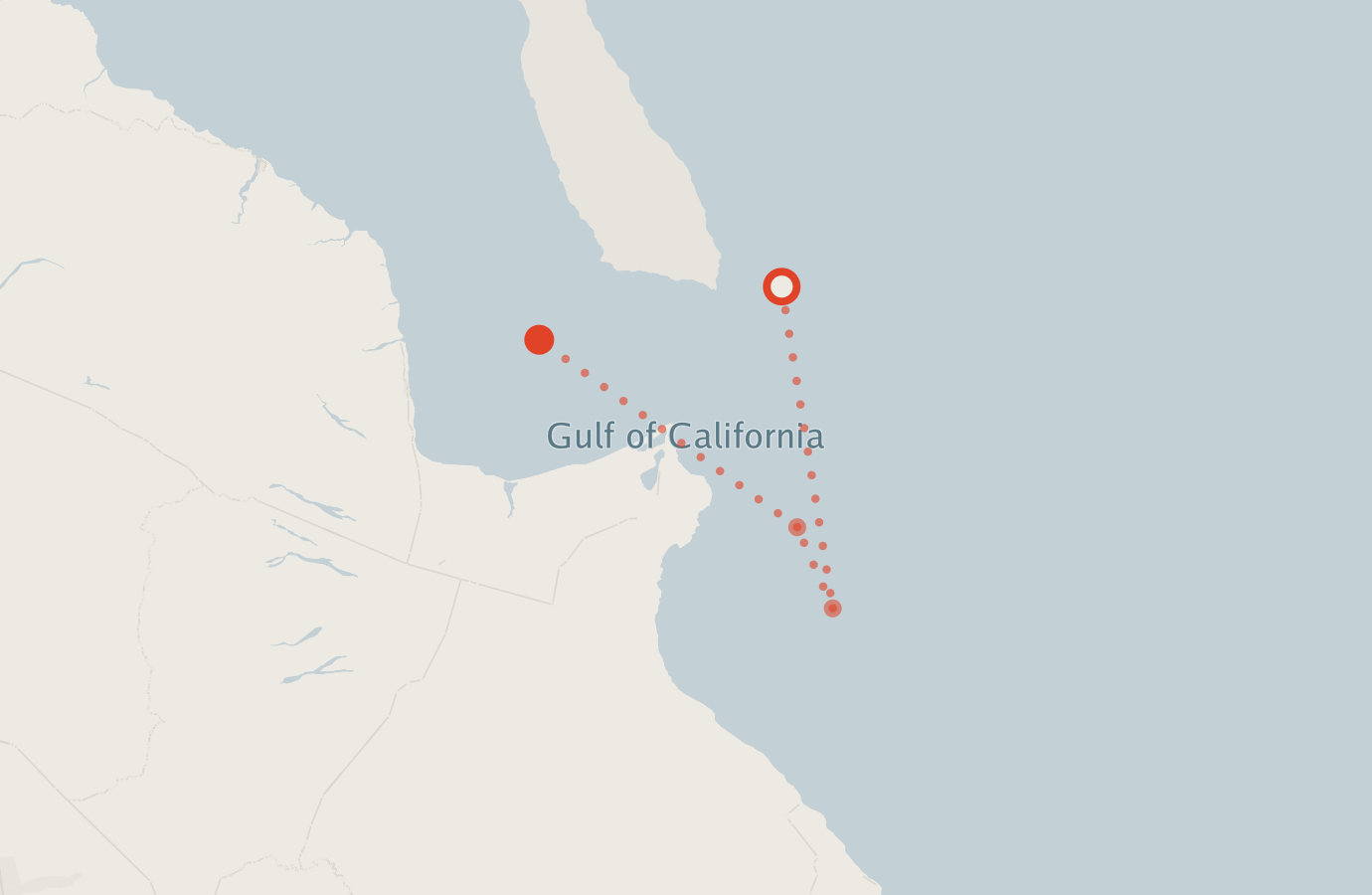 Activity map — real sighting points on an OpenStreetMap basemap