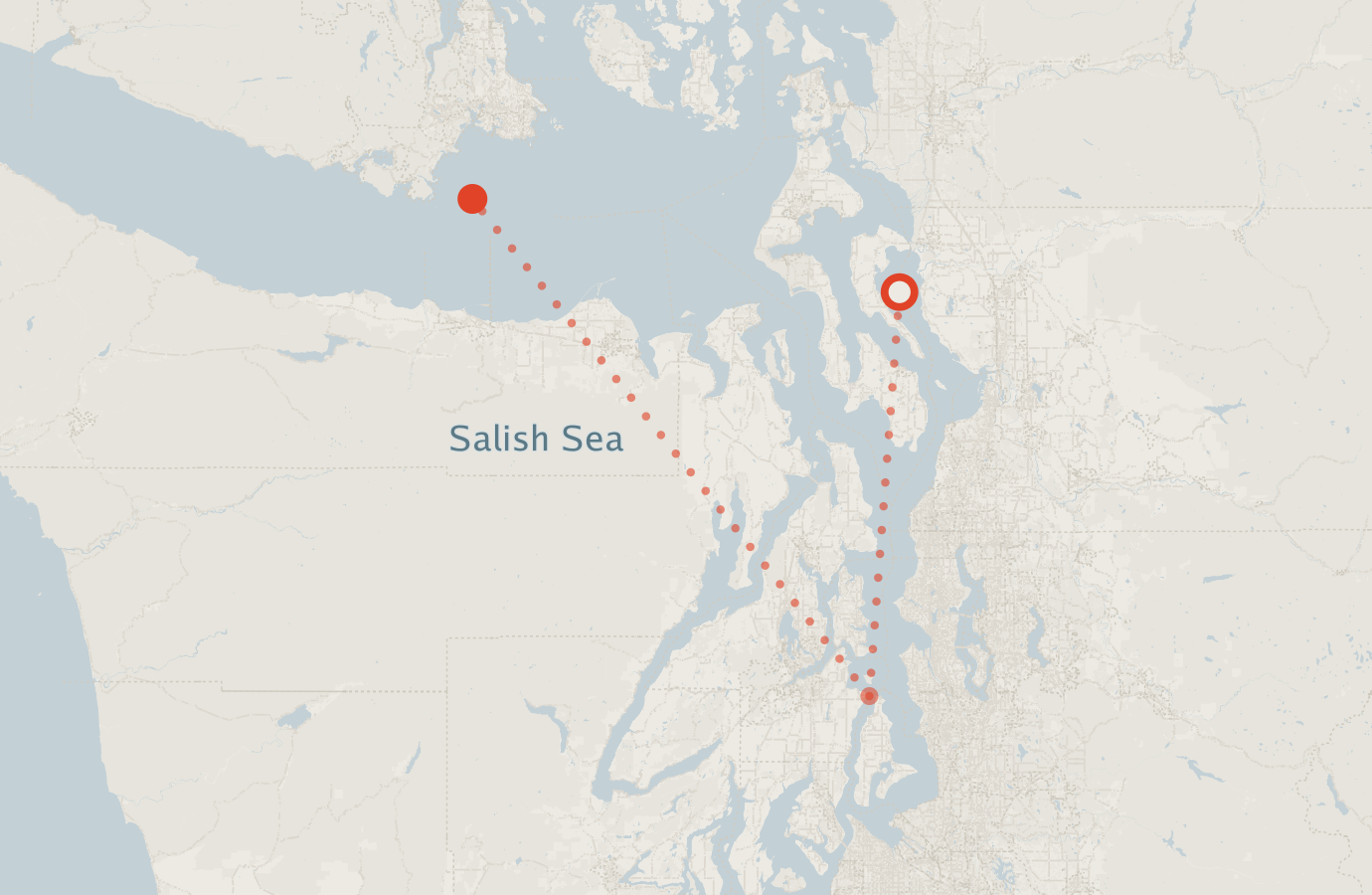 Activity map — real sighting points on an OpenStreetMap basemap