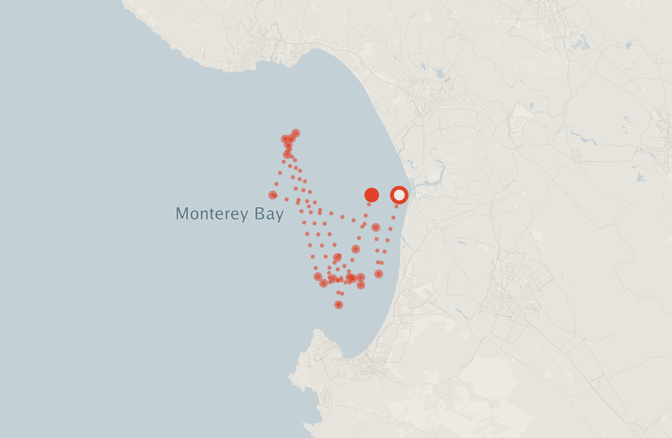 Activity map — real sighting points on an OpenStreetMap basemap