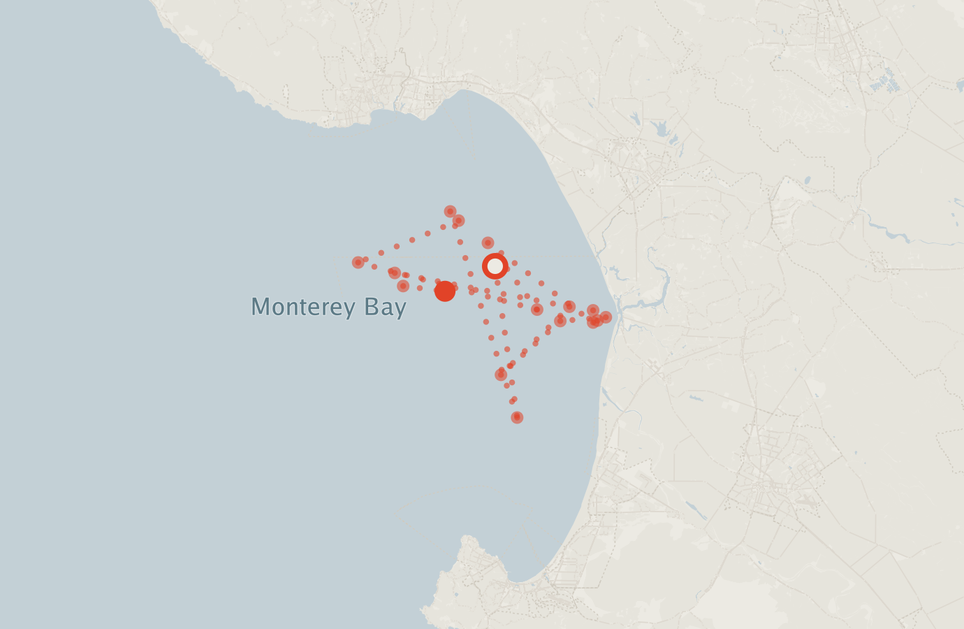 Activity map — real sighting points on an OpenStreetMap basemap