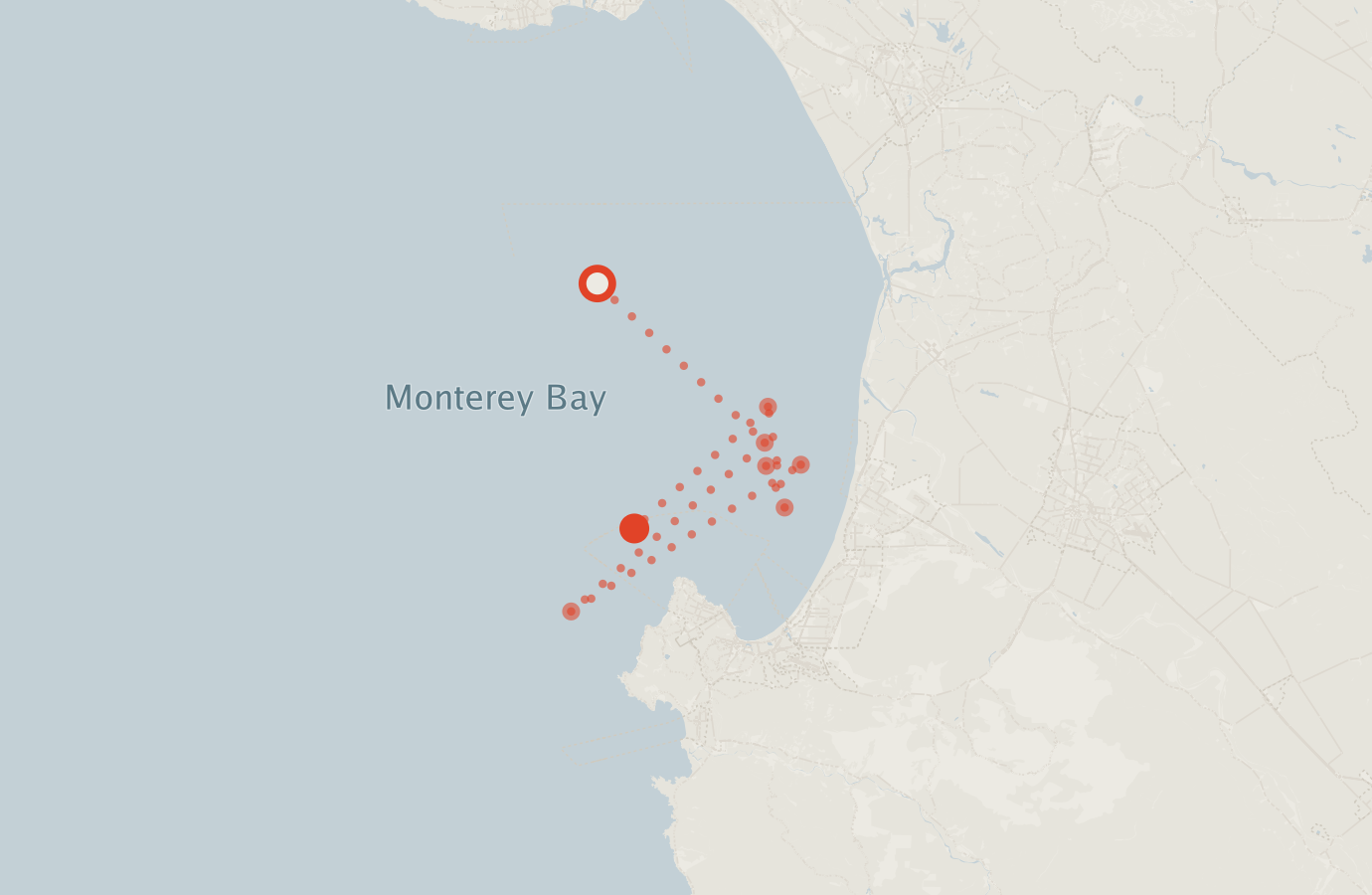 Activity map — real sighting points on an OpenStreetMap basemap