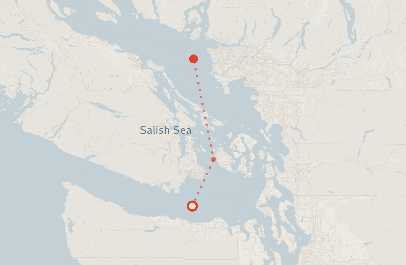 Activity map — real sighting points on an OpenStreetMap basemap