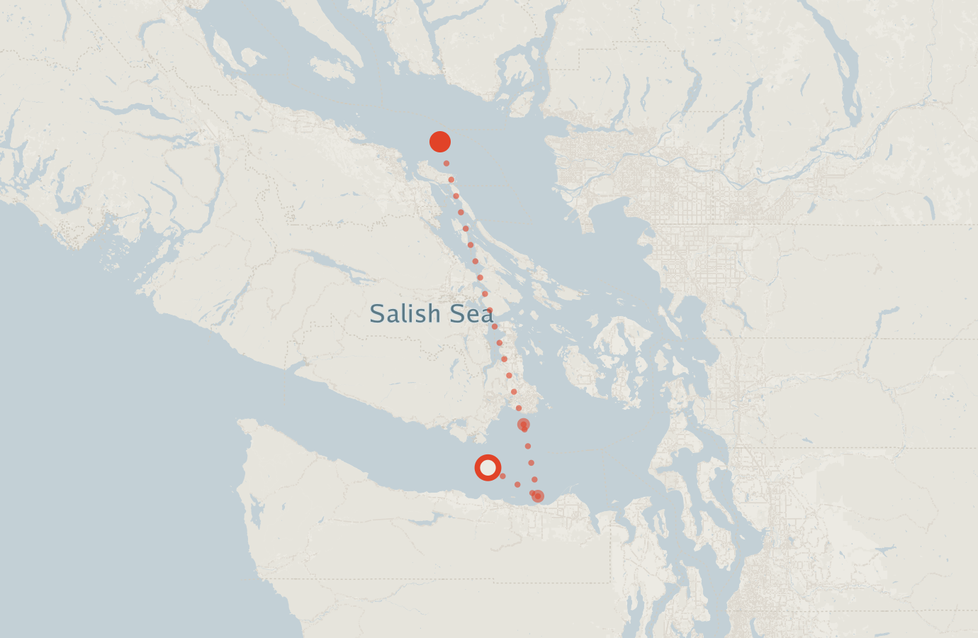 Activity map — real sighting points on an OpenStreetMap basemap