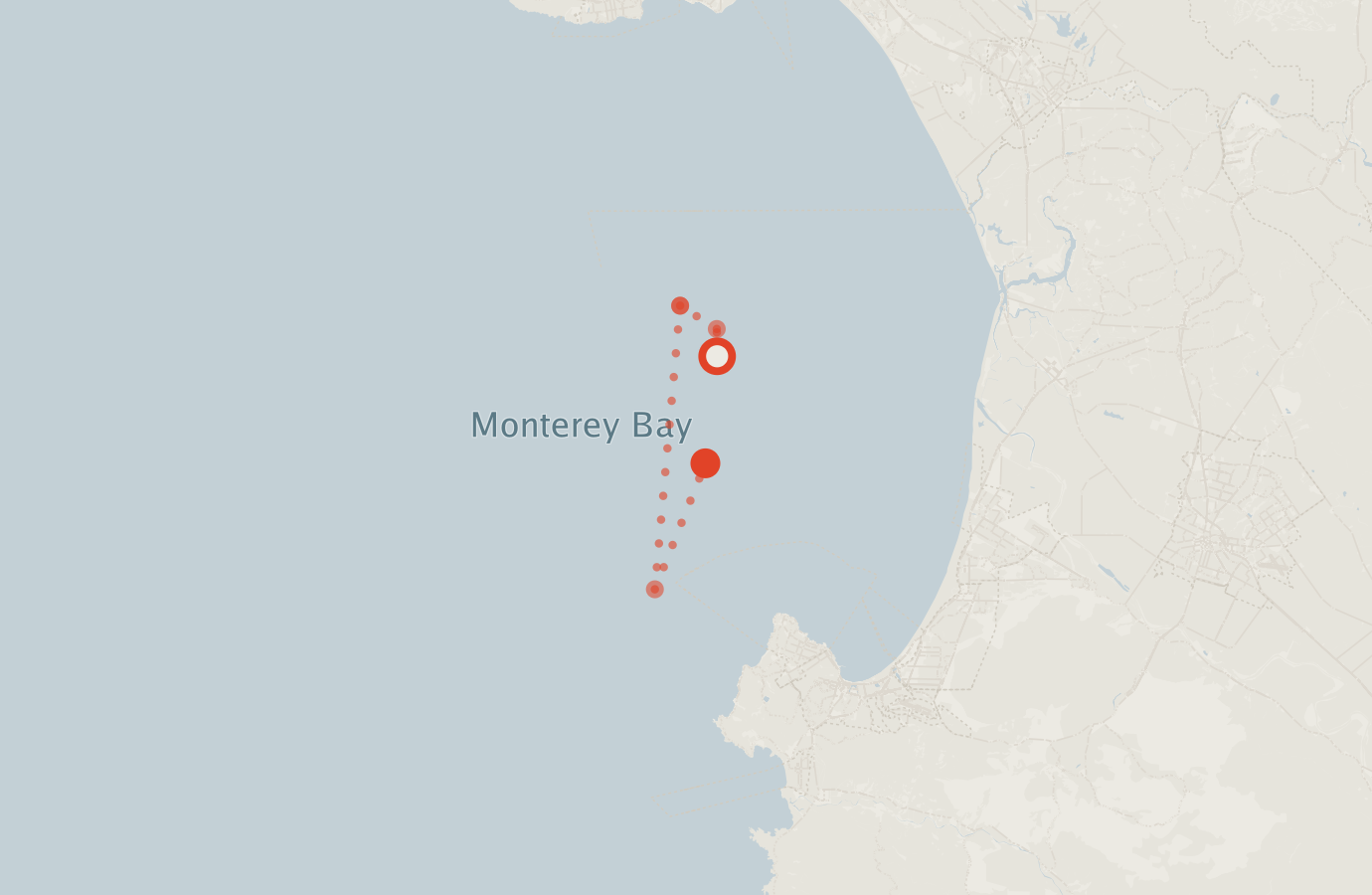 Activity map — real sighting points on an OpenStreetMap basemap