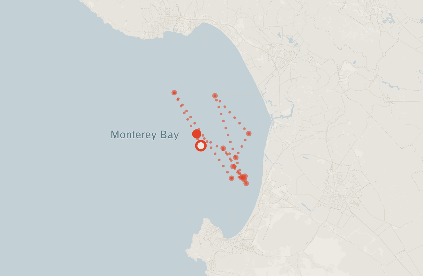 Activity map — real sighting points on an OpenStreetMap basemap