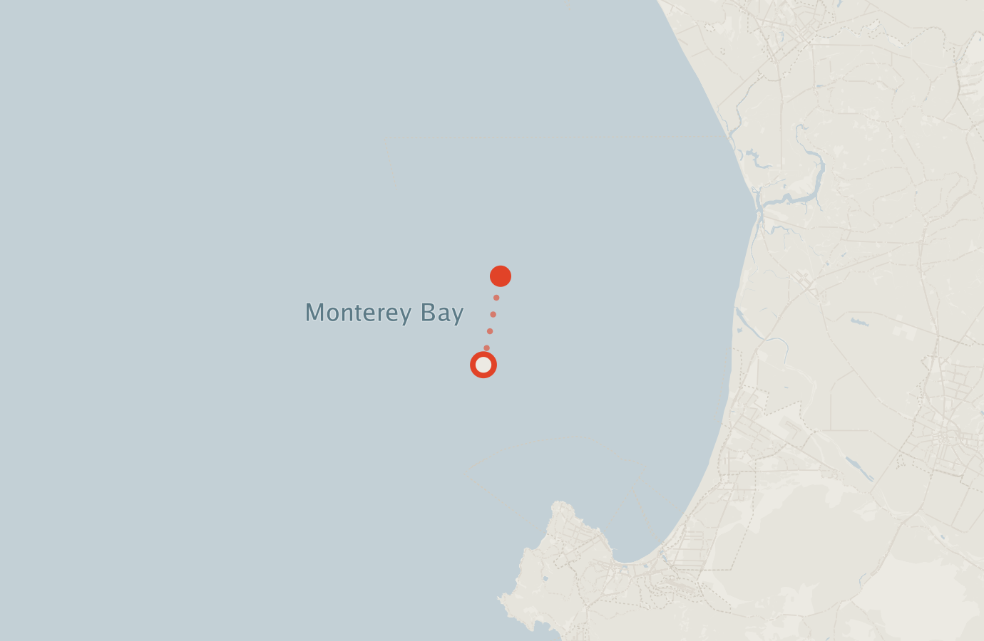 Activity map — real sighting points on an OpenStreetMap basemap