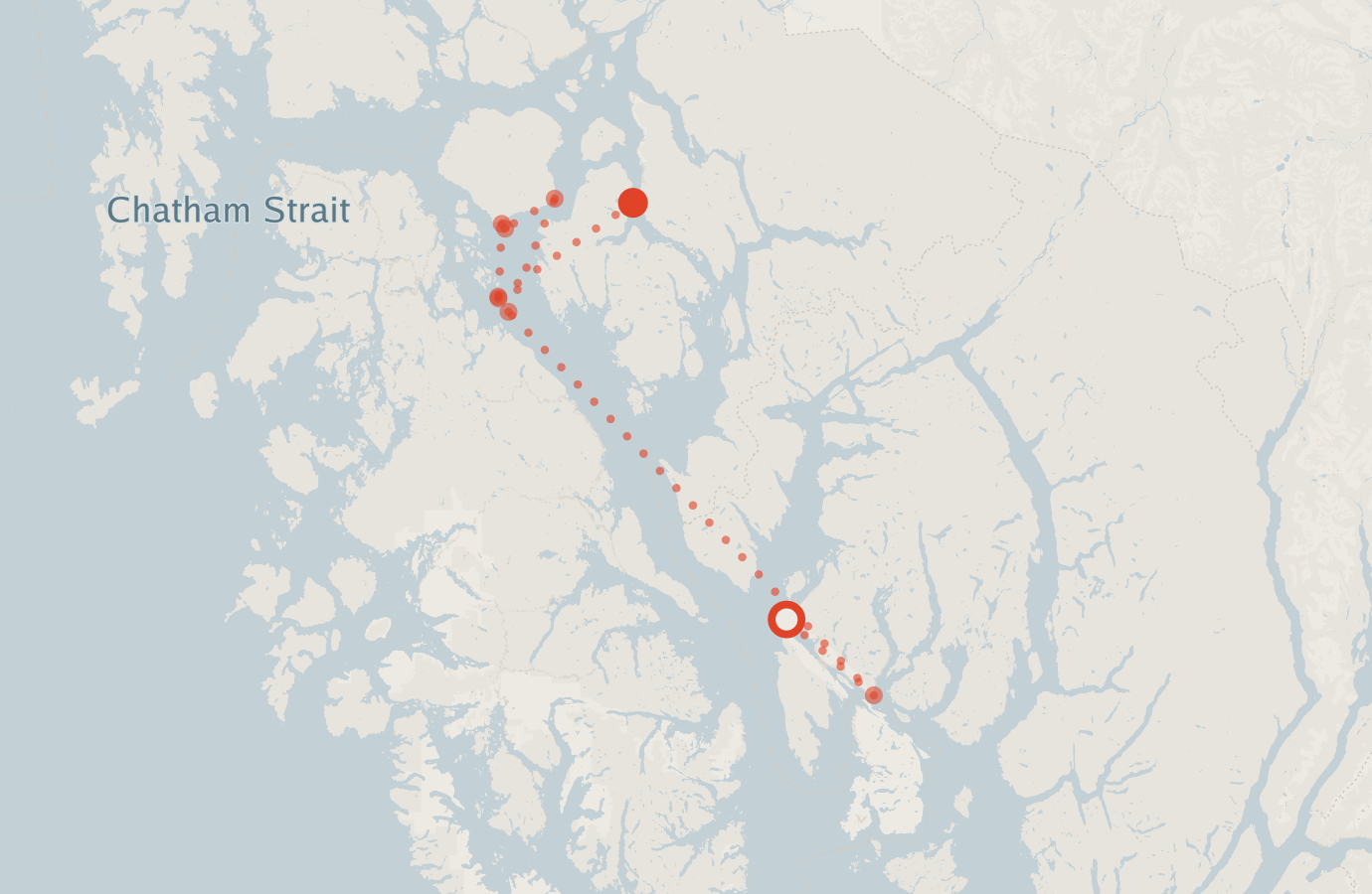 Activity map — real sighting points on an OpenStreetMap basemap