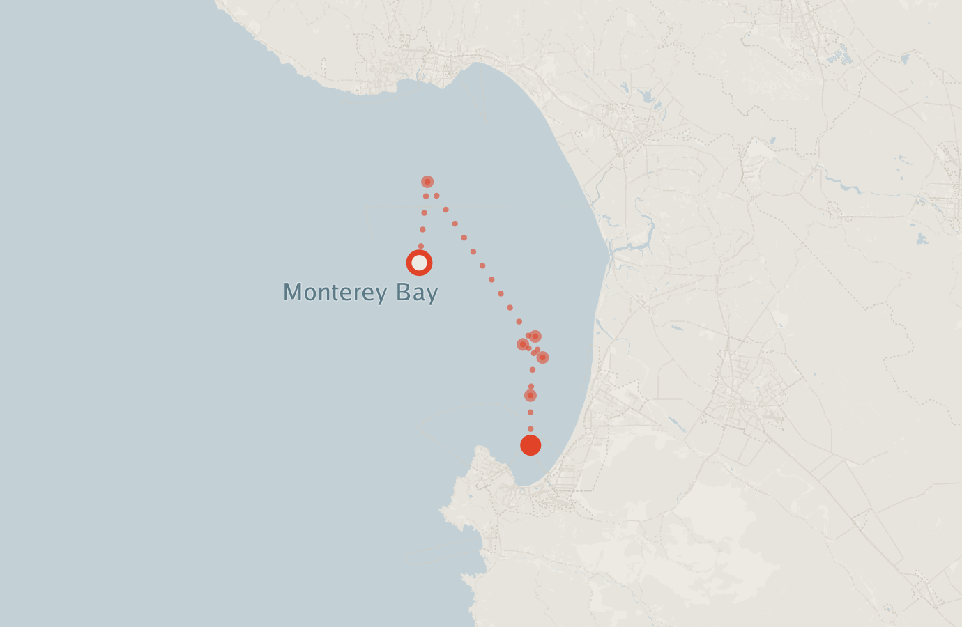 Activity map — real sighting points on an OpenStreetMap basemap