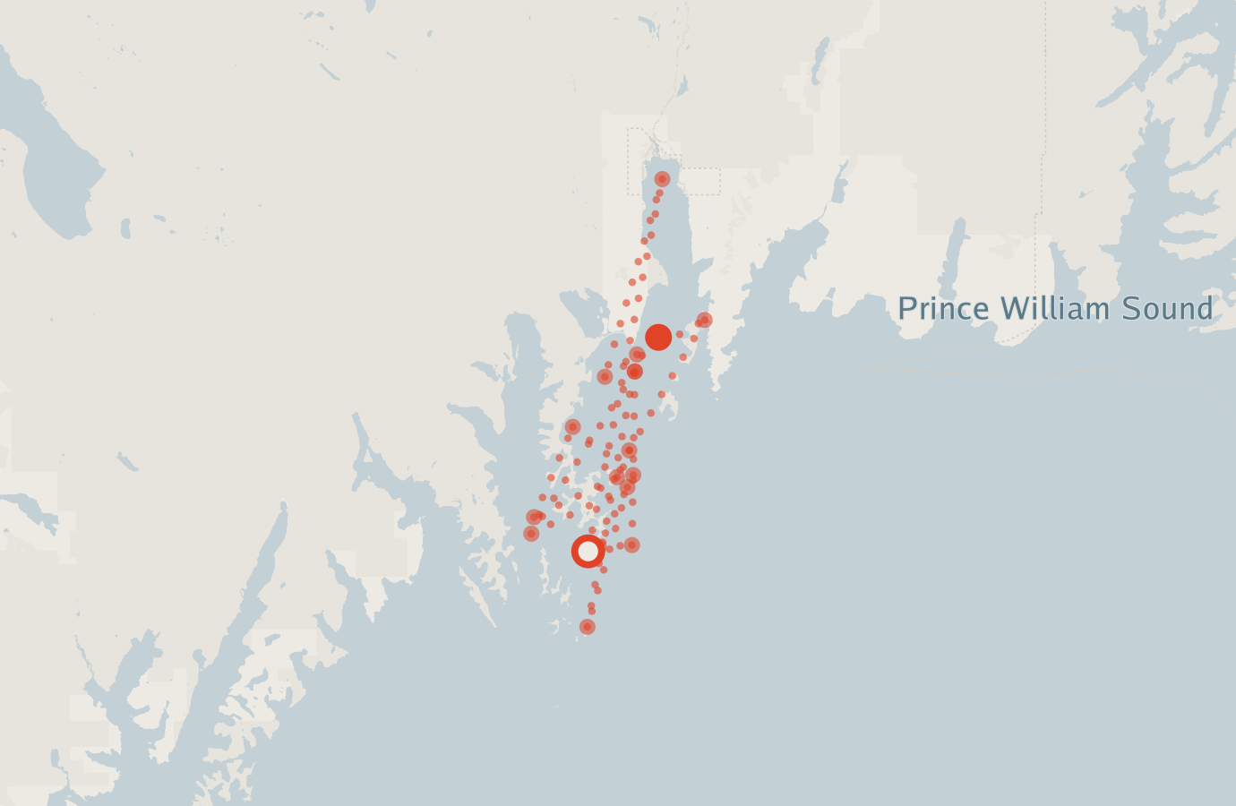 Activity map — real sighting points on an OpenStreetMap basemap