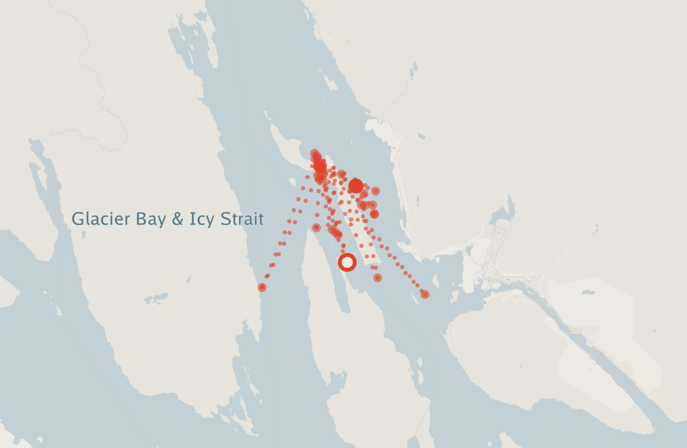 Activity map — real sighting points on an OpenStreetMap basemap