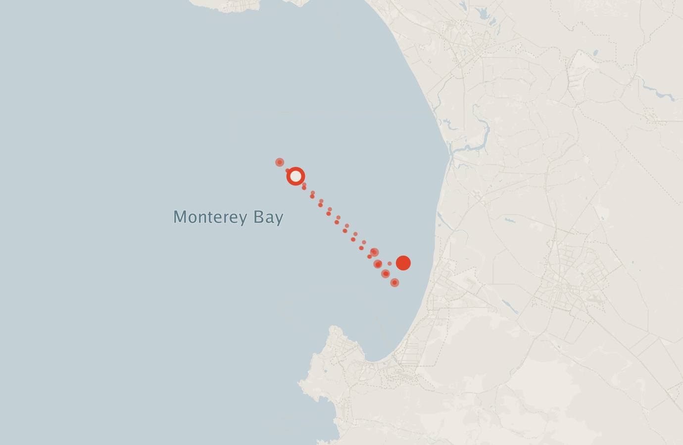 Activity map — real sighting points on an OpenStreetMap basemap