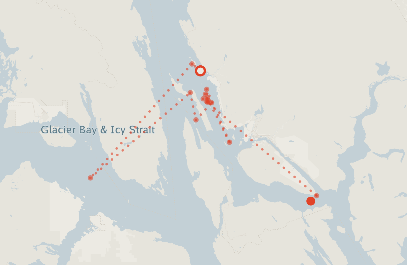 Activity map — real sighting points on an OpenStreetMap basemap