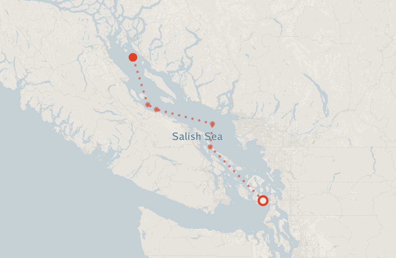 Activity map — real sighting points on an OpenStreetMap basemap