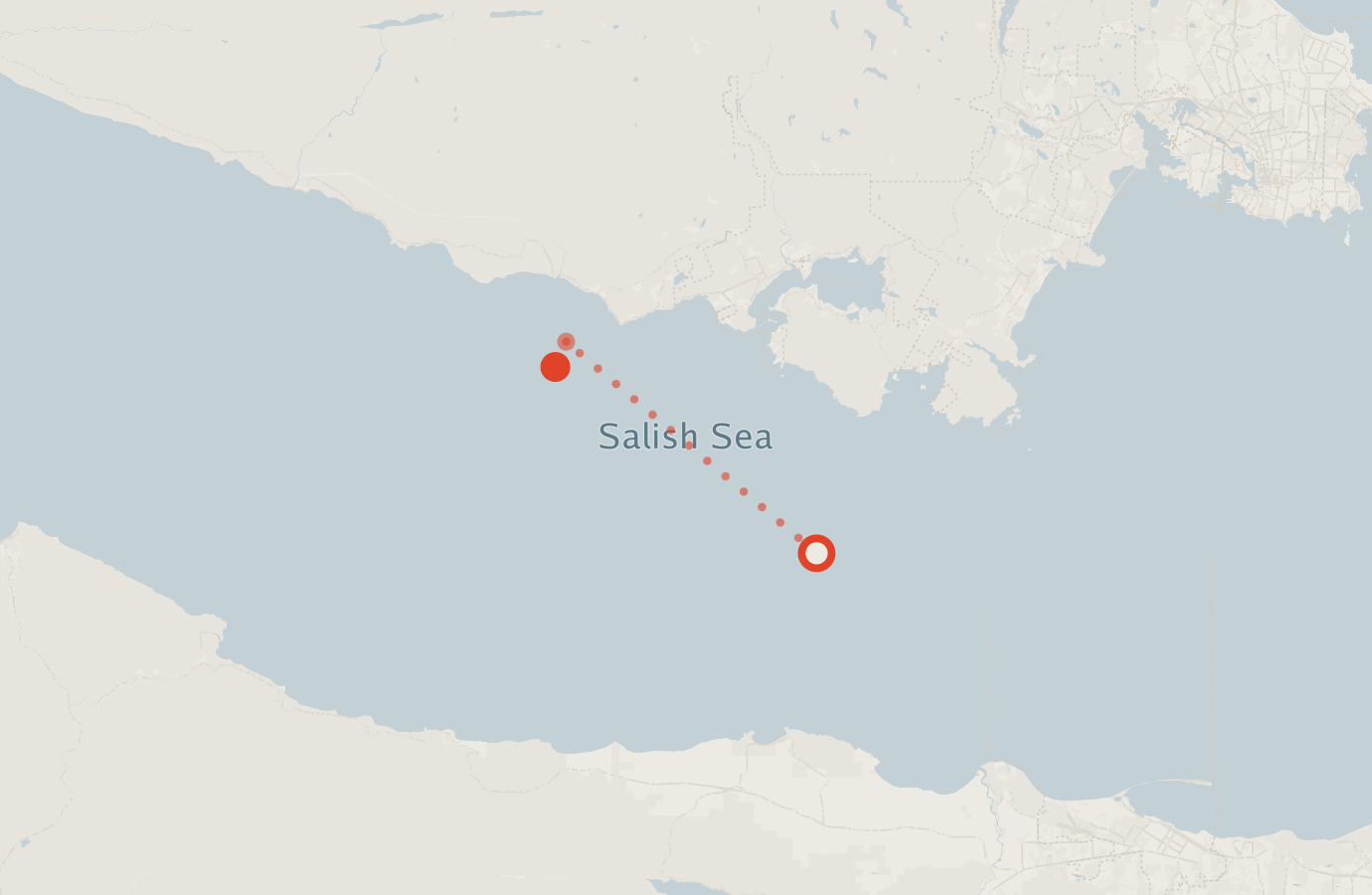 Activity map — real sighting points on an OpenStreetMap basemap